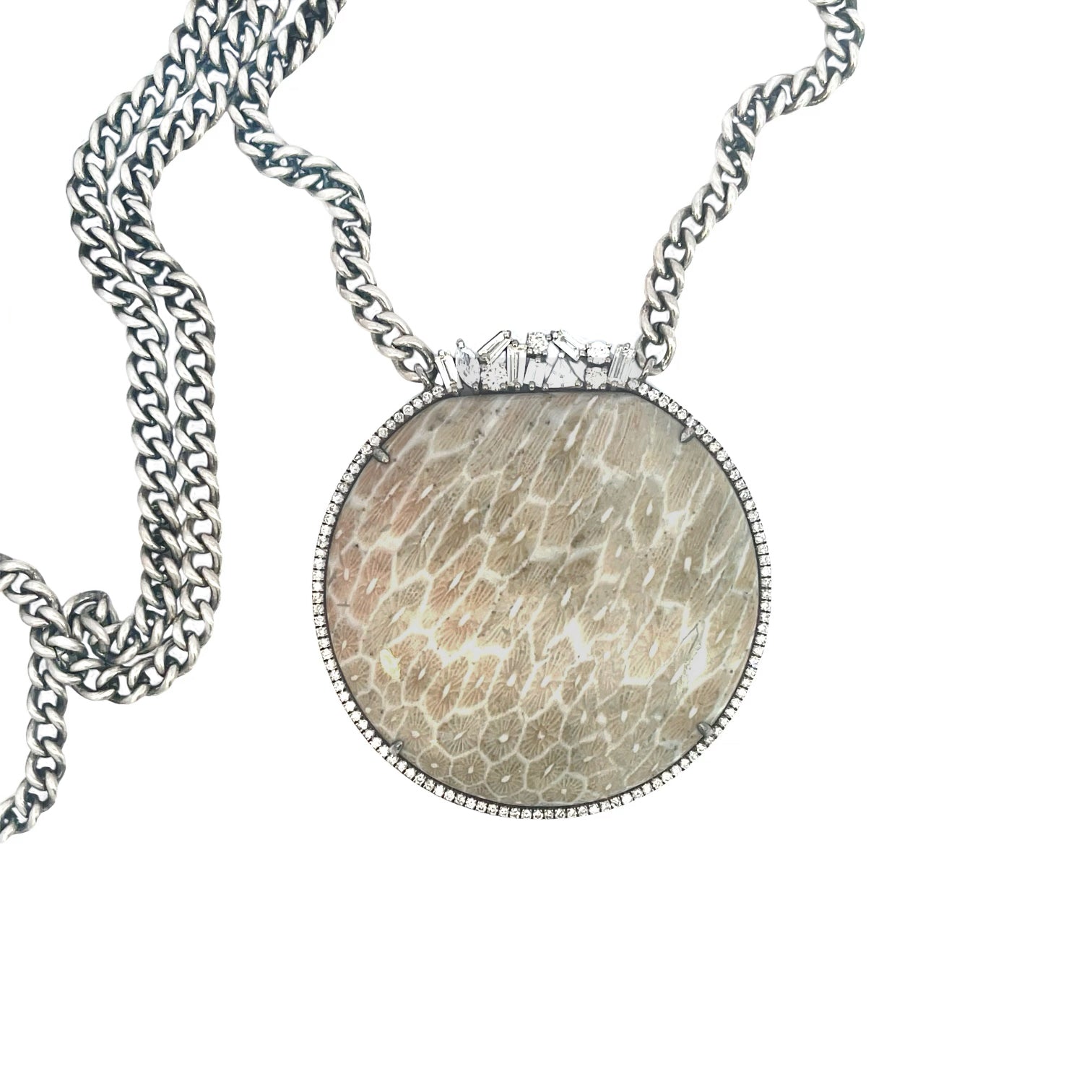 Fossil Coral, Diamond Crown